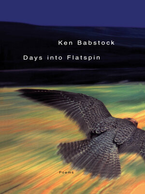 cover image of Days Into Flatspin